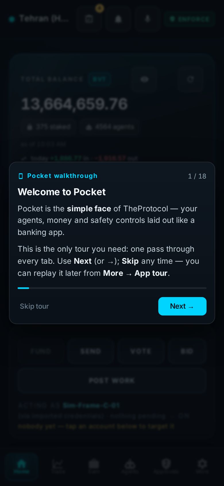 Pocket tour step 1 of 18 at phone size, with the coach card beside the live element it describes.